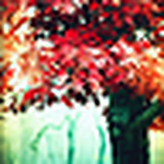 Profile Picture of Cindy  Kennedy (@cindykennedyphotog) on Flickr