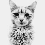 Profile Picture of Lisa Baklushina (@lisa.baklushina) on Facebook