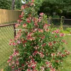 Profile Picture of Shelly RustTaylor (@shelly.rusttaylor) on Facebook