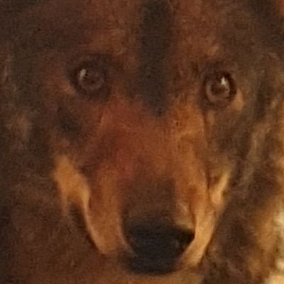 Profile Picture of Alejandro Blázquez (@ablazquez5) on Twitter