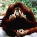 Profile Picture of Christopher Voth (@cvoth2) on Pinterest