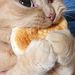 Profile Picture of Monroy Juan (@juankis_monroy) on Pinterest