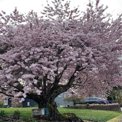 Profile Picture of LucyYu (@LucyYu04) on Twitter