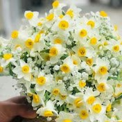 Profile Picture of Nateqi Reyhane (@nateqireyhane8200) on Youtube