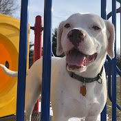 Profile Picture of Sam Kearney (@samkearney9800) on Youtube