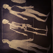 Profile Picture of Alex Coates (@MrCoates3008) on Youtube