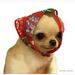 Profile Picture of Ava (@reggie_da_roach) on Pinterest