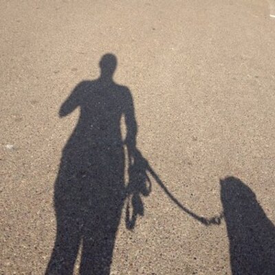 Profile Picture of Lisa Liners (@LickidyLiners) on Twitter