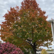 Profile Picture of Kyle Rauch (@kylerauch2940) on Youtube