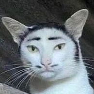 Profile Picture of Jan Danielle Mang265 (@jaydeeeeeeee69) on Tiktok