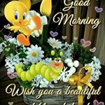 twally Herbert - Instagram Profile Picture of twally Herbert (@twallyherbert) on Instagram