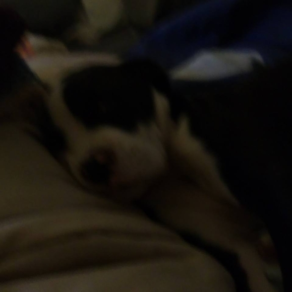 Profile Picture of Ginger Mcfadden (@gingermcfadden) on Poshmark