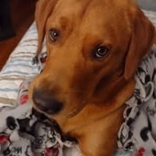 Profile Picture of roxannehull1 (@roxannehull1) on Instagram