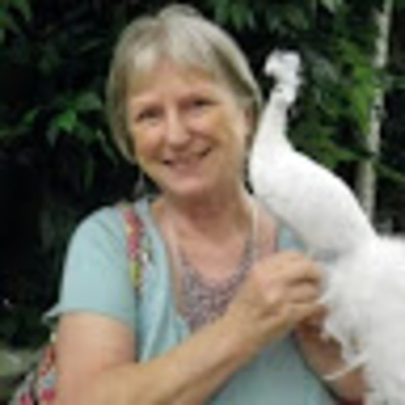 Pat Miles - Poshmark Profile Picture of Pat Miles (@pstephensmiles) on Poshmark