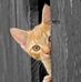 Profile Picture of Richard Clodfelter (@richard.clodfelter.399) on Facebook