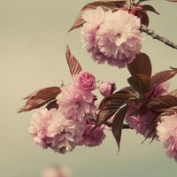 Profile Picture of Liana Pekelharing (@liana-pekelharing) on Quora