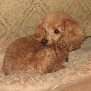 Profile Picture of George Miles (@george.miles84) on Tiktok