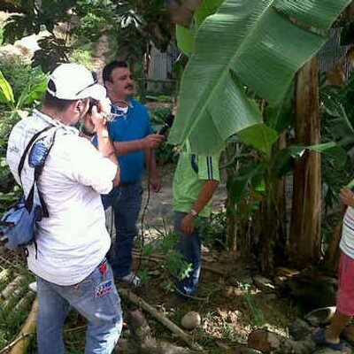 Profile Picture of Steven Triana (@maycamarografo) on Twitter