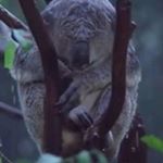 Profile Picture of Andrew Carlin (@drewb279) on Instagram