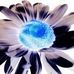 Profile Picture of Sheri Stuart (@sheri.stuart.14) on Facebook