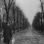 Profile Picture of Maria Gerasimova (@masha_silli) on Flickr