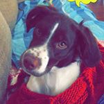 Profile Picture of Marsha Mcclain (@marshamcclain2460) on Instagram
