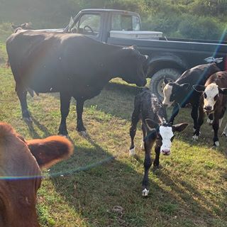 Profile Picture of Devin Vest (@devin.vest.716) on Facebook