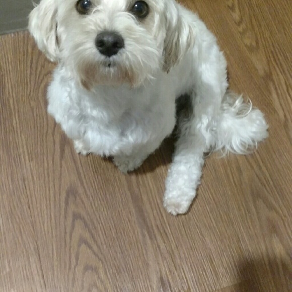 Profile Picture of Jenny Howle (@jhowle77) on Poshmark