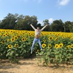 Profile Picture of Collin Kroll (@ck_archinart) on Instagram