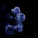 Profile Picture of Matthew Honore (@matthew.honore.10) on Facebook