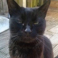 Profile Picture of Ian Pleasant (@ian-pleasant) on Quora