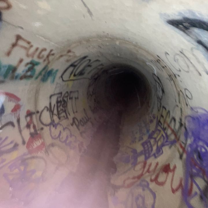 Profile Picture of arnoldsanders (@therealarnoldsanders) on Tiktok