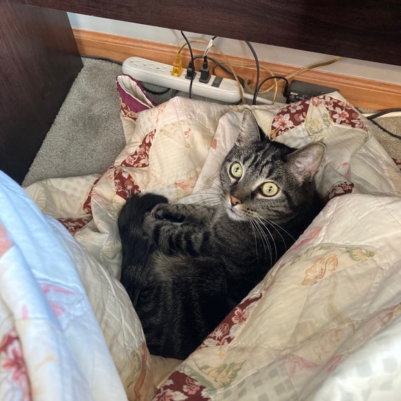 Profile Picture of Kaitlin Wright (@kaitlinwrigh172) on Poshmark