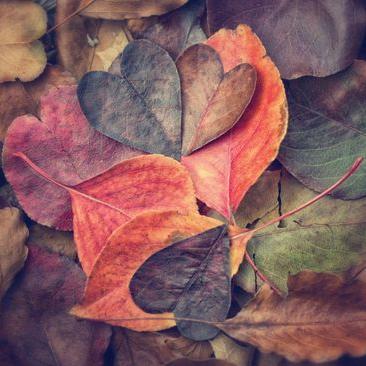 Profile Picture of Vishal Mistry (@vishalmistry097) on Twitter