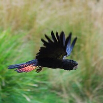 Profile Picture of Eric Flett (@5Curlewstreet) on Twitter