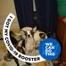 Profile Picture of Herman Wyatt (@herman.wyatt.3194) on Facebook