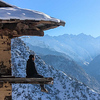 Profile Picture of karan singh (@Journey to Explore) on Flickr