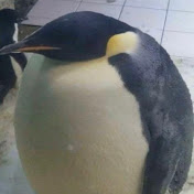 Profile Picture of Mia Foster (@miafoster6855) on Youtube