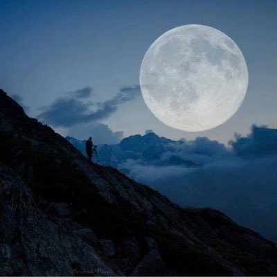 Profile Picture of Mina Samzadeh (@mina_samzadeh) on Twitter