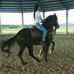 Profile Picture of Alexandra Tinoco👅 (@alexandra_tinoco_g) on Instagram