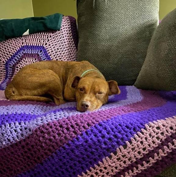 Profile Picture of Suzanne Graleski (@suzagraleski) on Poshmark