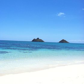 Profile Picture of Kim Ruggles (@kruggz) on Pinterest