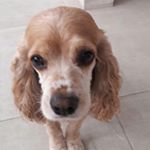 Profile Picture of Eva Alvarez (@evaalvarezg) on Instagram