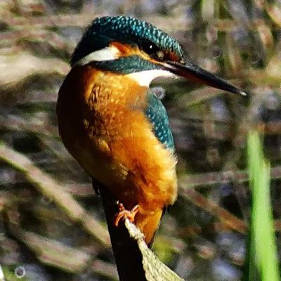 Profile Picture of Derick Pearson (@DerickIpromise) on Twitter