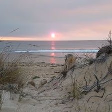 Profile Picture of Chris Pretorius (@ChrisPretoriusA) on Twitter