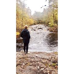 Profile Picture of Erik Green (@erikgreen3) on Tiktok