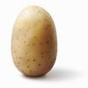 Profile Picture of Ciaran Fitzpatrick (@user5837025028035) on Tiktok