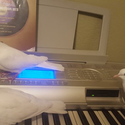 Profile Picture of Christopher E Tyus (@EffiesChild54) on Twitter