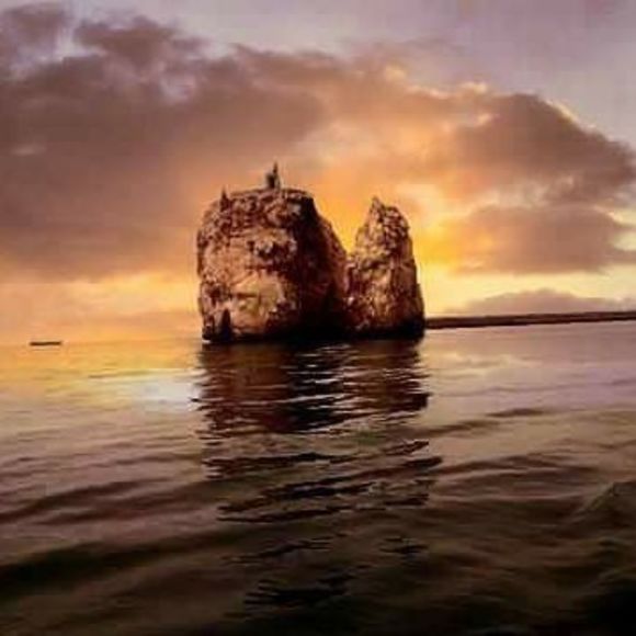 Boufeldja Danoune - Poshmark Profile Picture of Boufeldja Danoune (@boufeldjad) on Poshmark