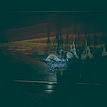 Profile Picture of doucette_99 (@doucette_99) on Flickr